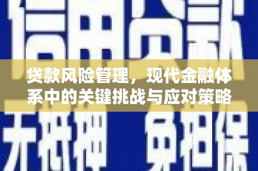 稻城贷款风险管理，现代金融体系中的关键挑战与应对策略