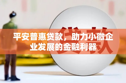禄劝平安普惠贷款，助力小微企业发展的金融利器