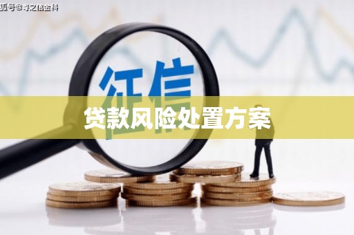 伍家岗贷款风险处置方案