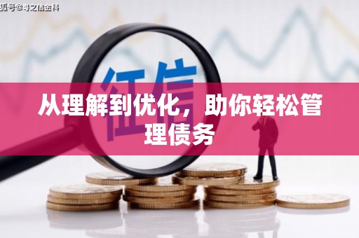 芮城从理解到优化，助你轻松管理债务