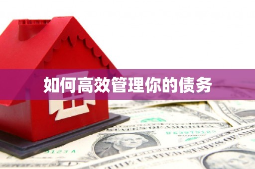 沙湾如何高效管理你的债务