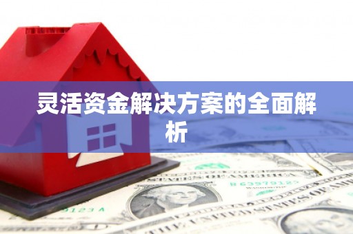 漯河灵活资金解决方案的全面解析