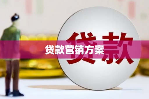 洋县贷款营销方案